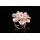 New fashion woman dress flowers brooches